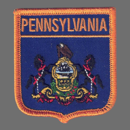 PENNSYLVANIA Med Flag Shield Patch - 2905