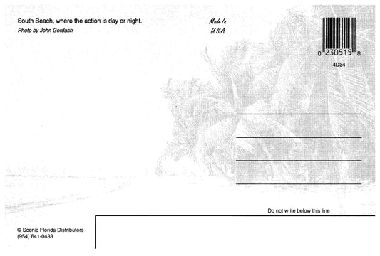 Vintage Florida Postcard 4x6 Miami South Beach FL 1980s Cars Palm Trees Buildings John Gordash Scenic Florida Distributors