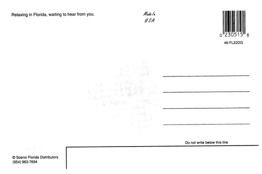 Vintage Florida Postcard 4x6 Thinking of You Chimpanzee Monkey Dressed in Safari Gear Scenic Florida Distributors