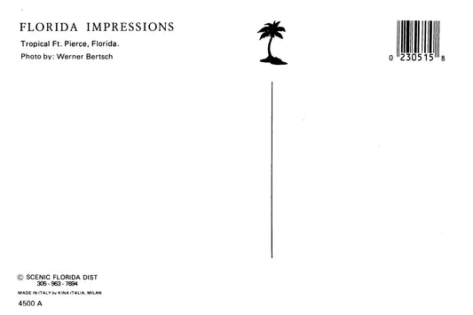 Vintage Florida Postcard 4x6 Fort Pierce Beach FL 1980s Palm Trees Bridge Werner Bertsch Florida Impressions Scenic Florida Distributors