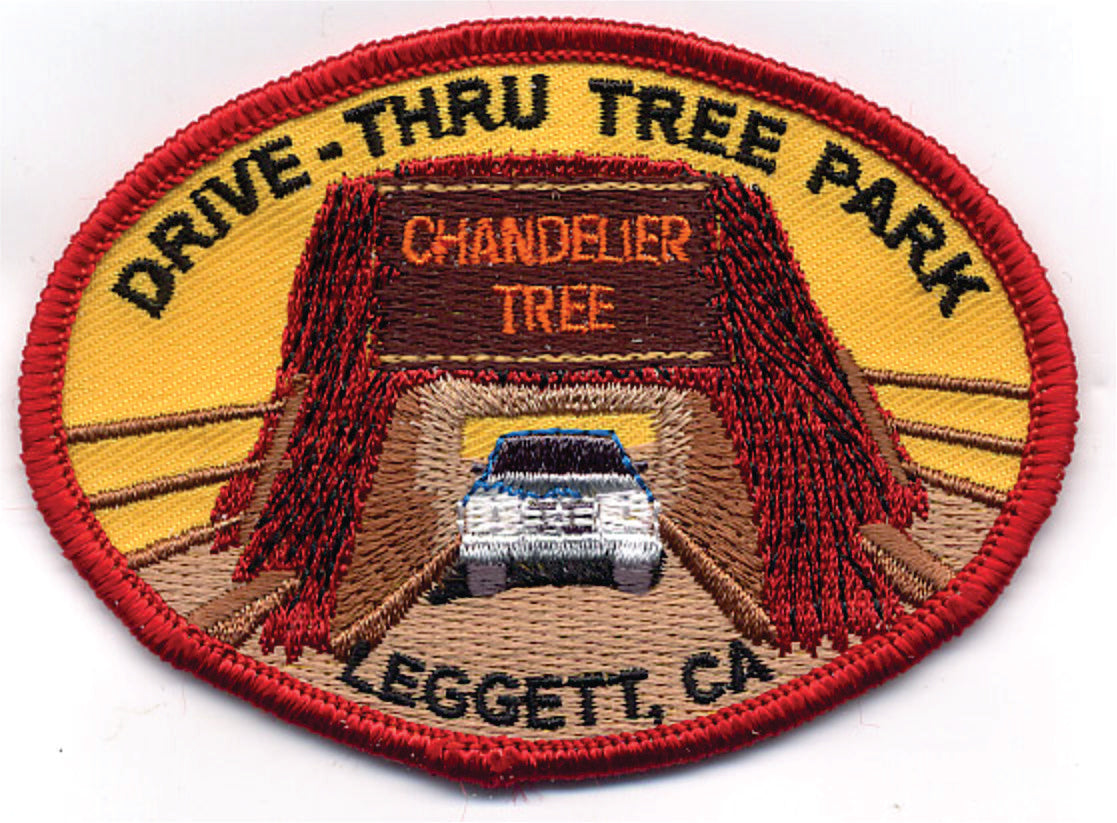 Drive Thru Tree Embroidered Iron On Patch Oval Red Border 0-0851
