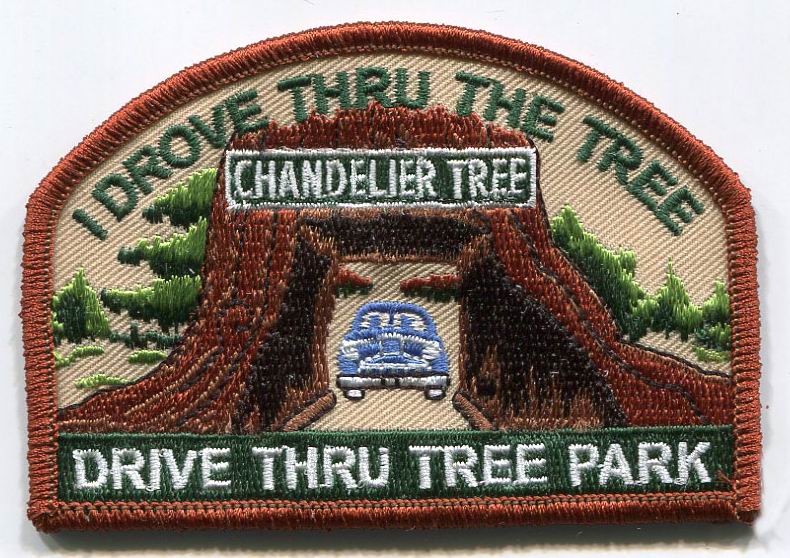 Drive Thru Tree I Drove Through the Tree Embroidered Iron On Patch 2-1128 and 0-1128