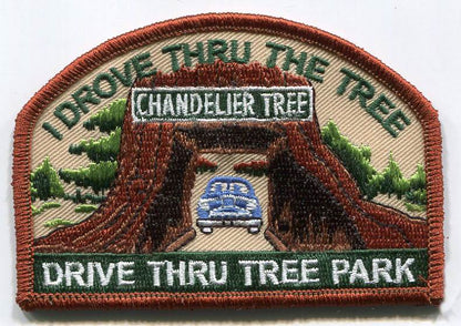 Drive Thru Tree I Drove Through the Tree Patch 2-1128 and 0-1128