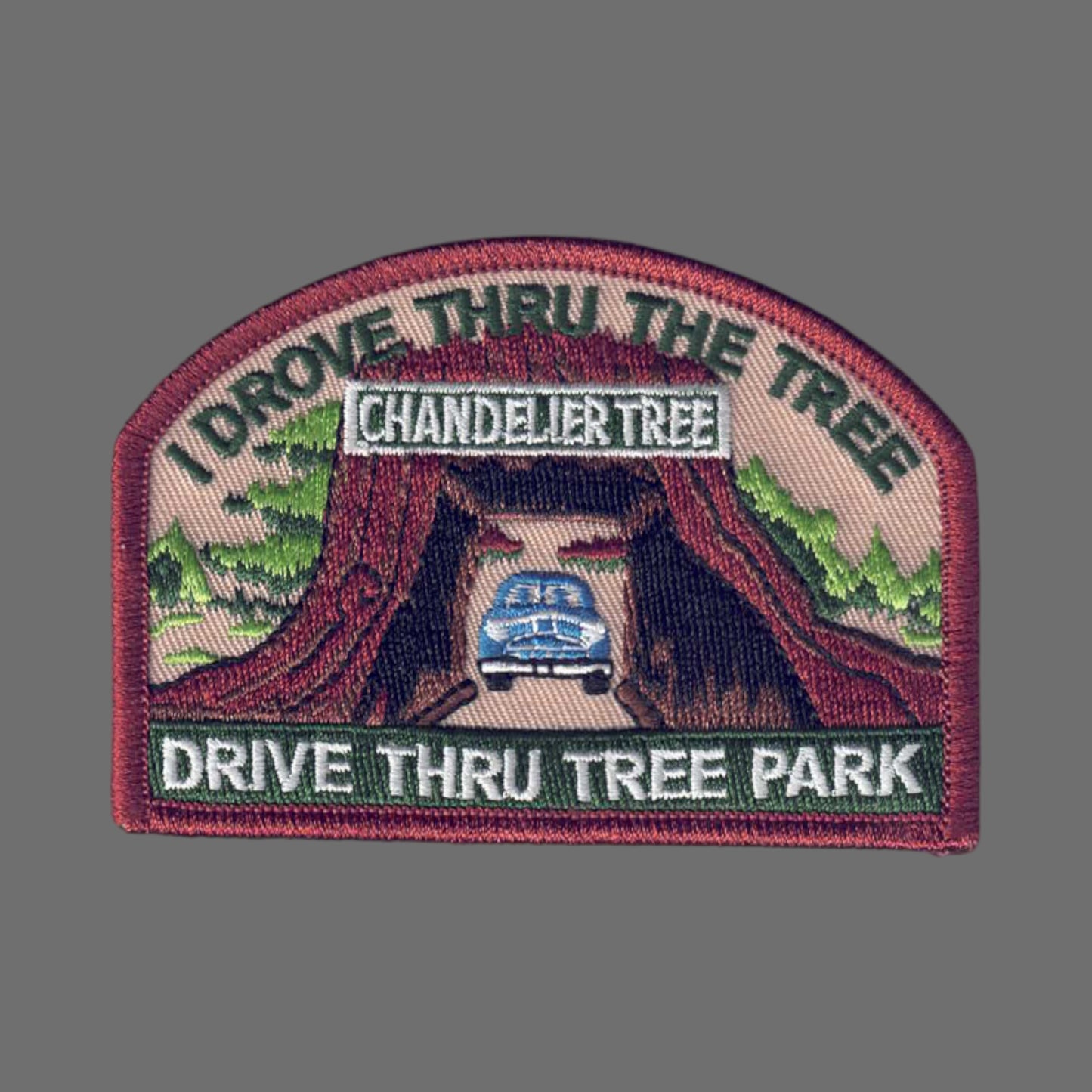 Drive Thru Tree I Drove Through the Tree Patch 2-1128 and 0-1128