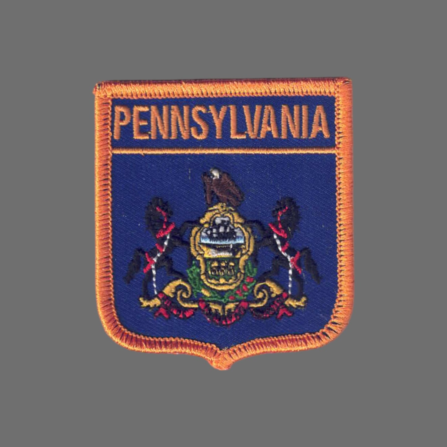 PENNSYLVANIA Med Flag Shield Patch - 2905