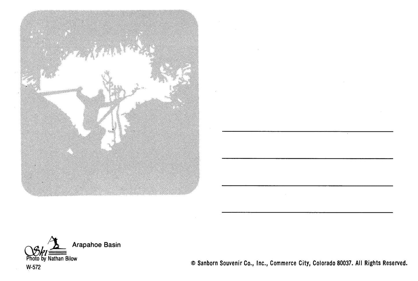 Vintage Colorado Postcard Arapahoe Basin CO 4x6 1980s Sanborn Souvenir Co 1990s Nathan Bilow Snow Mountains Trees