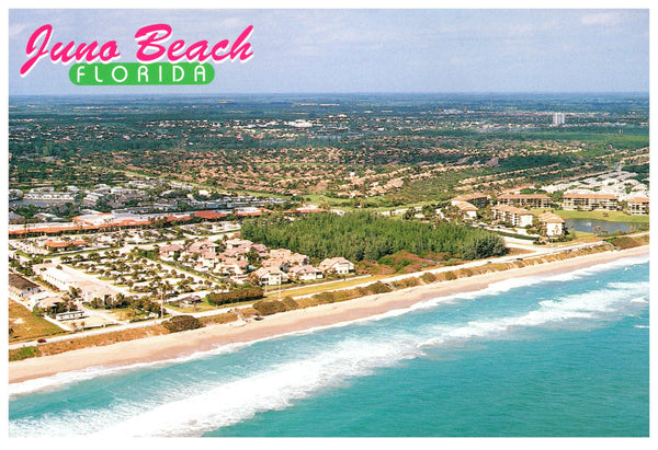Vintage Florida Postcard Juno Beach FL 4x6 Atlantic Ocean 1980s John Gordash Scenic Florida Distributors 1990s