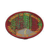 Avenue of the Giants Iron On Patch California Redwoods