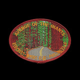 Avenue of the Giants Iron On Patch California Redwoods