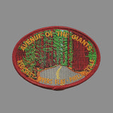 Avenue of the Giants Iron On Patch California Redwoods