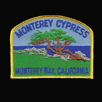 California Patch - Monterey Bay Cypress Tree