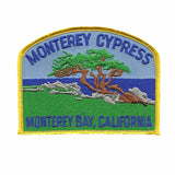 California Patch - Monterey Bay Cypress Tree