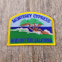 California Patch - Monterey Bay Cypress Tree