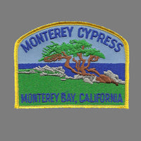 California Patch - Monterey Bay Cypress Tree