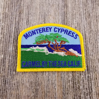 California Patch - Monterey Cypress Tree - Carmel
