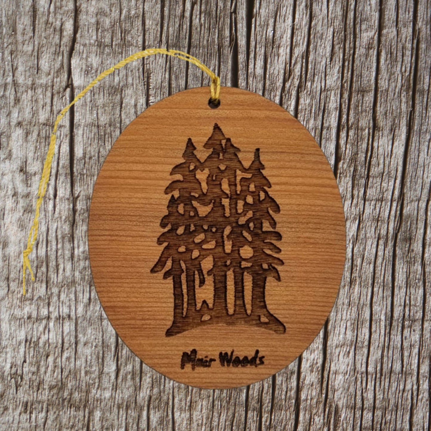 Muir Woods Ornament - National Park Souvenir - Christmas Ornament - Handmade 15018MW