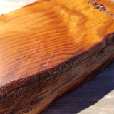 Handmade Wood Box with Redwood Tree Engraved Rustic Handmade Curly Wood #396 California Redwood Jewelry Box Storage Box