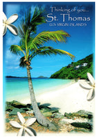 St Thomas US Virgin Islands Postcard 4x6 Thinking of You Buddy Moffet Little Magen's Bay Volcanic Caribbean Island Recipe on Back